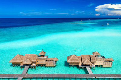 An exclusive springtime offer